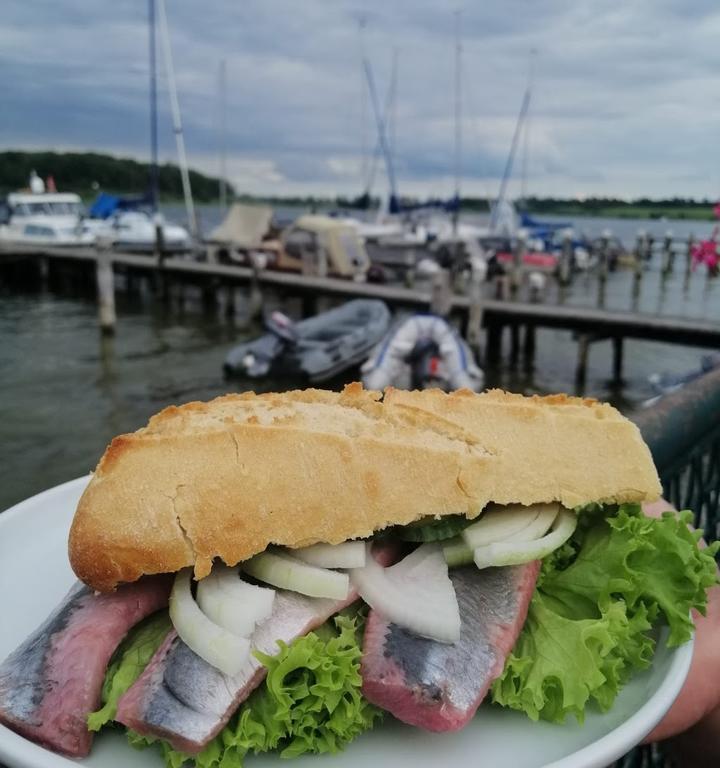 Steg-Haus am Seglerhafen